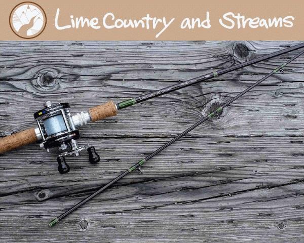 プロショップ藤岡 雷魚バス釣具通販＞BLACK BASS＞フロッグ＞Rod